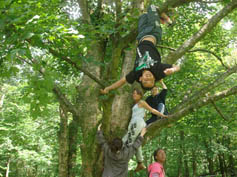 fun in the lake district